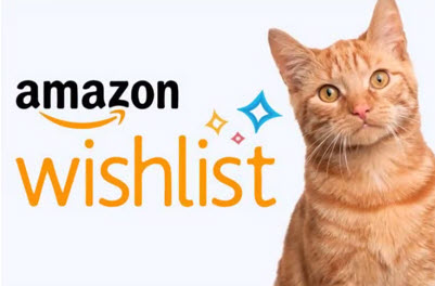 Amazon Wishlist graphic
