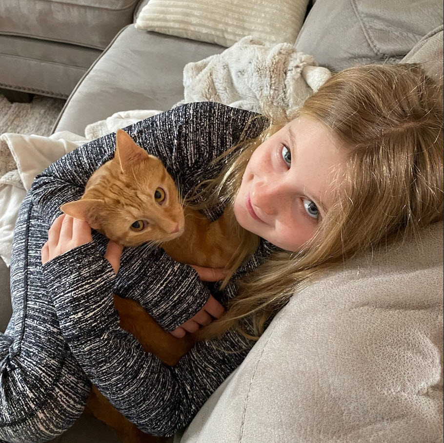 Anson - Tabby cat playing with plastic toy tube.