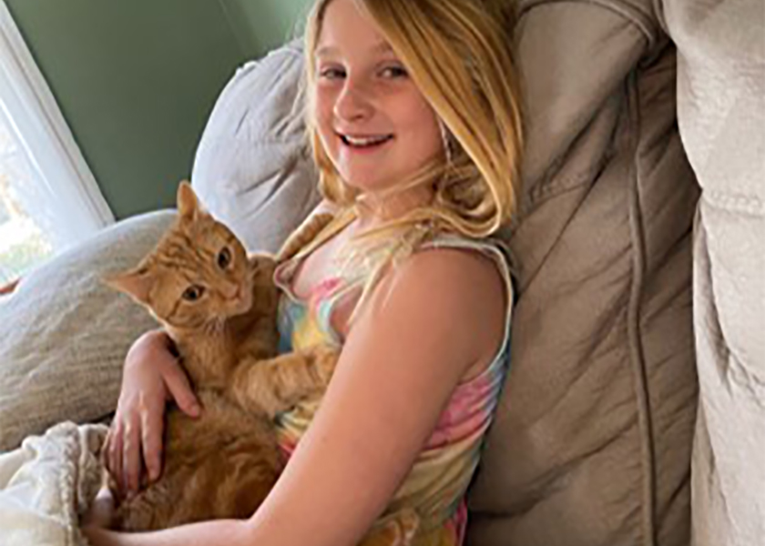 Anson - White cat with tabby markings