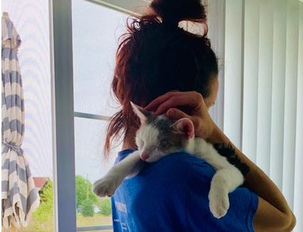 Anson - Tabby cat being held by girl.