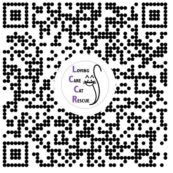 Loving Care Cat Rescue's Venmo QR code