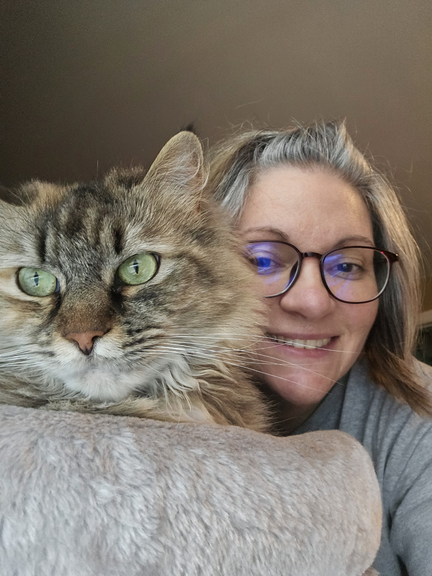 Anson - Tabby cat on their back sleeping.