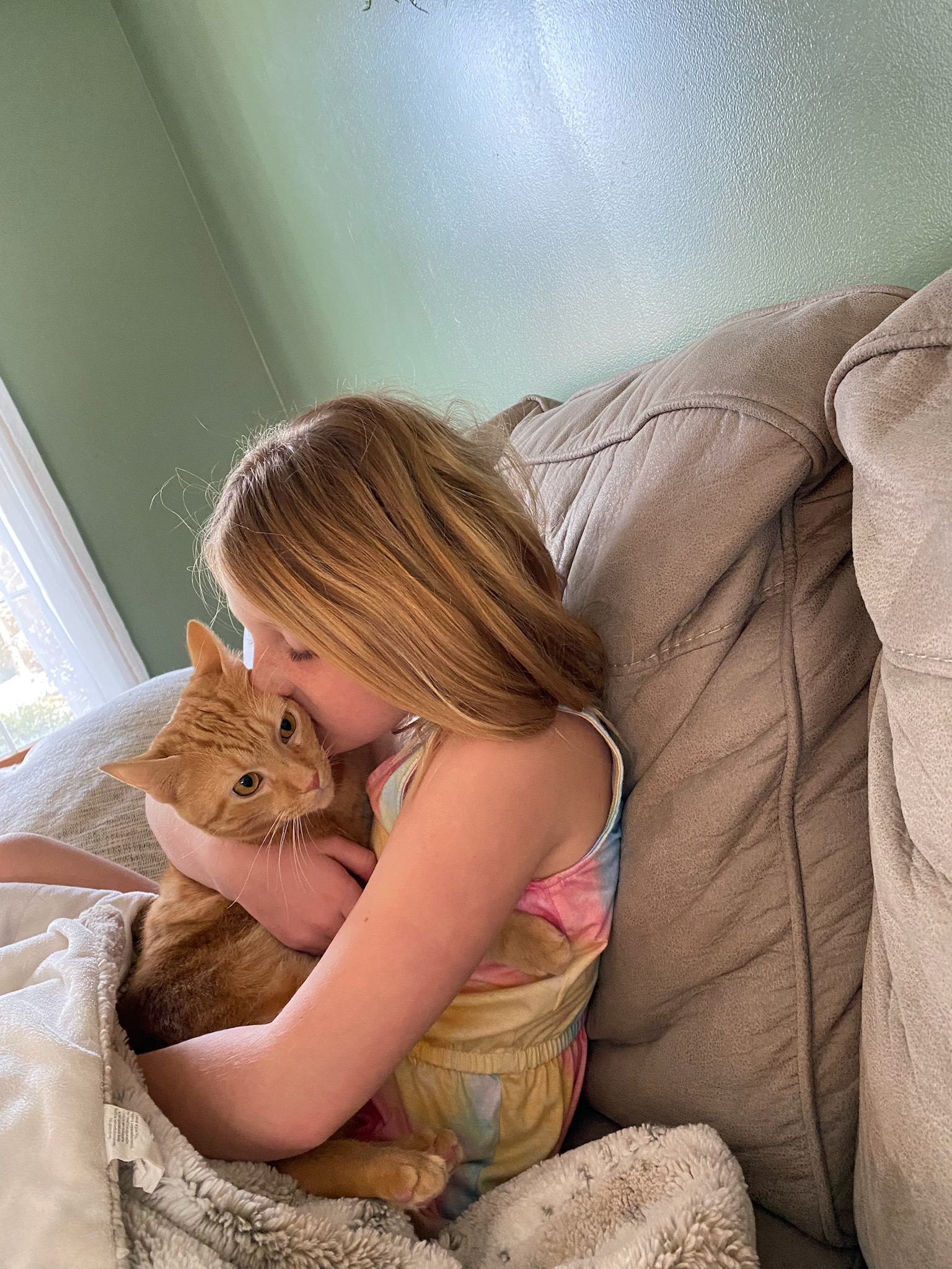 Anson - Tabby cat being held by girl.