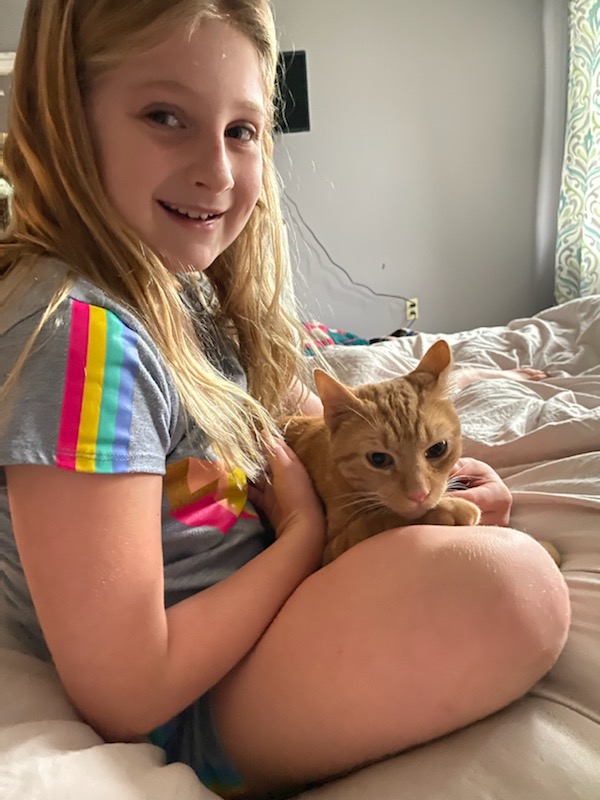 Anson - Tabby cat on their back sleeping.