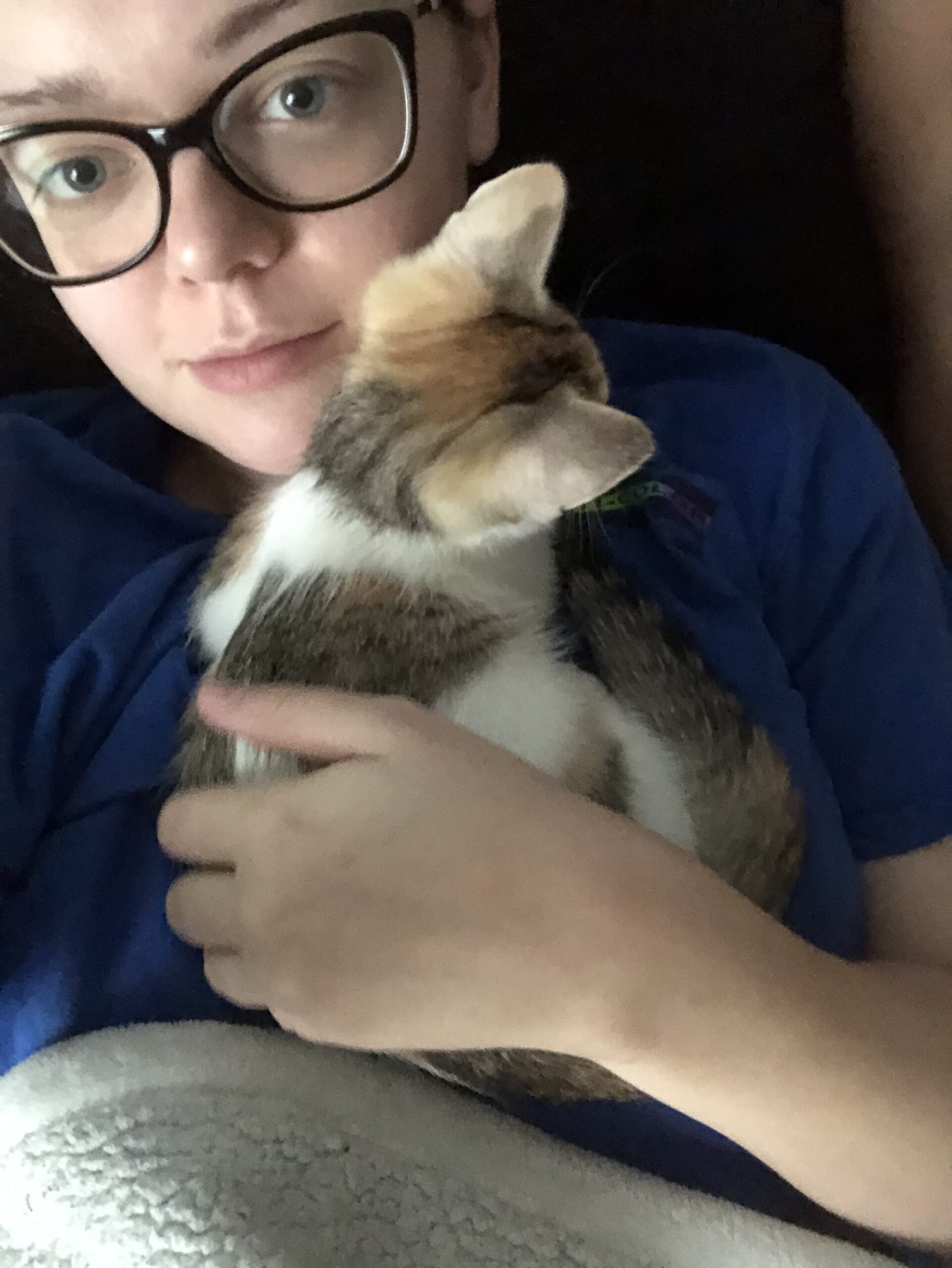 Anson - Tabby cat playing with plastic toy tube.