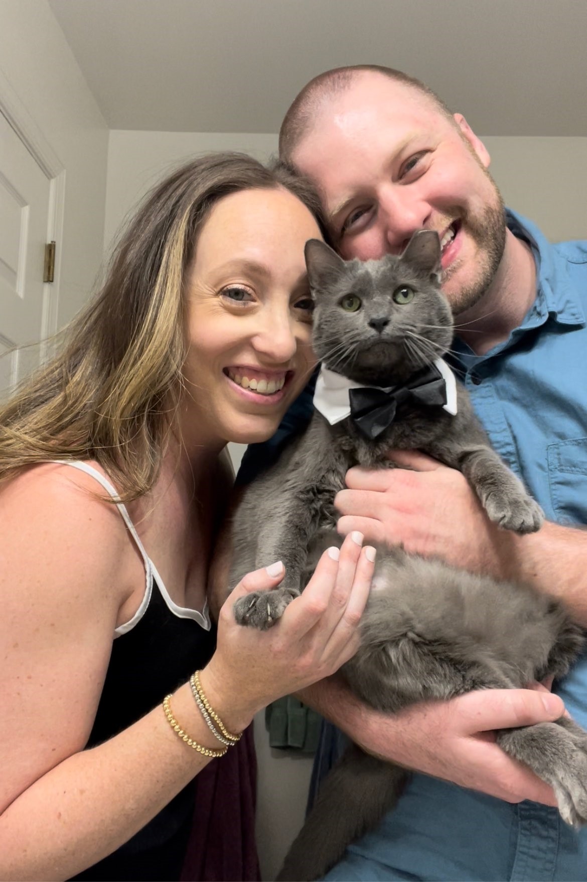 Anson - Tabby cat being held by girl.