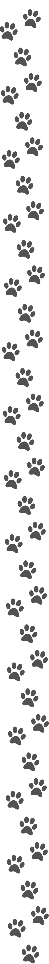 pawprints